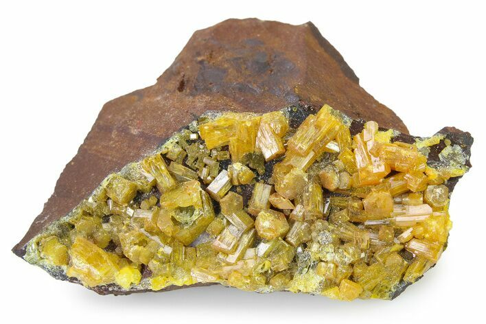 Lustrous Orange Pyromorphite Crystal Cluster - DR Congo #322629
